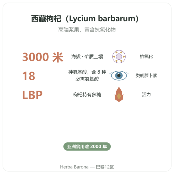 西藏枸杞 – 1 X 500 g 功效与数据 Paris Herba Barona