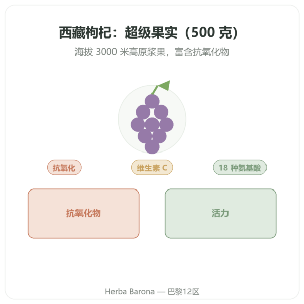 西藏枸杞 – 1 X 500 g 产品展示 Paris Herba Barona
