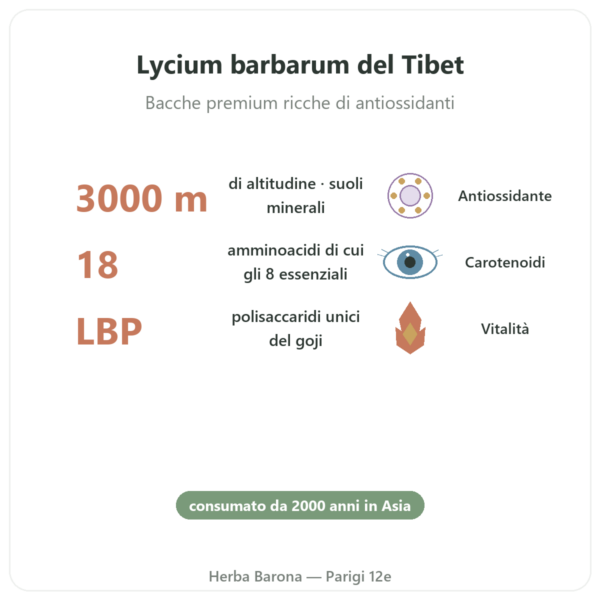 Goji del Tibet – 1 x 500 g benefici e dati chiave Paris Herba Barona