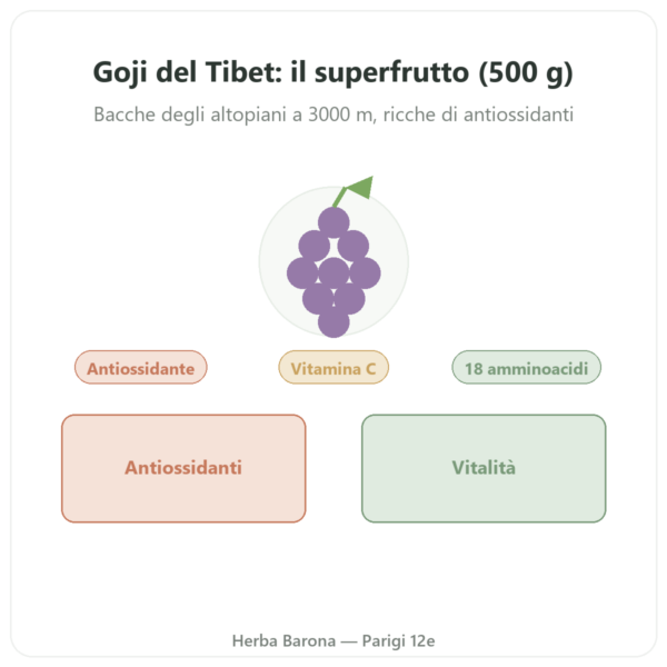 Goji del Tibet – 1 x 500 g presentazione Paris Herba Barona