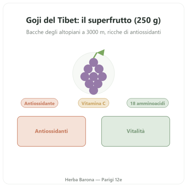 Goji del Tibet – 1 x 250 g presentazione Paris Herba Barona