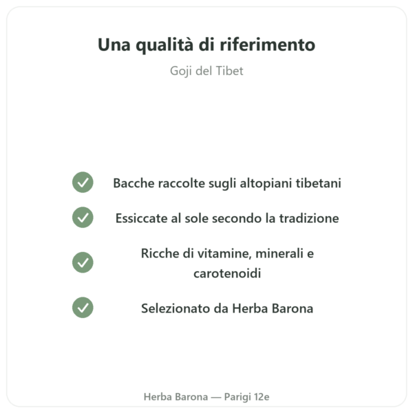 Goji del Tibet – 1 x 250 g qualità Paris Herba Barona