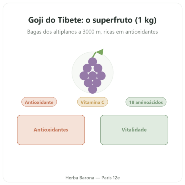 Goji do Tibete – 1 kg (2 x 500 g) apresentação Paris Herba Barona