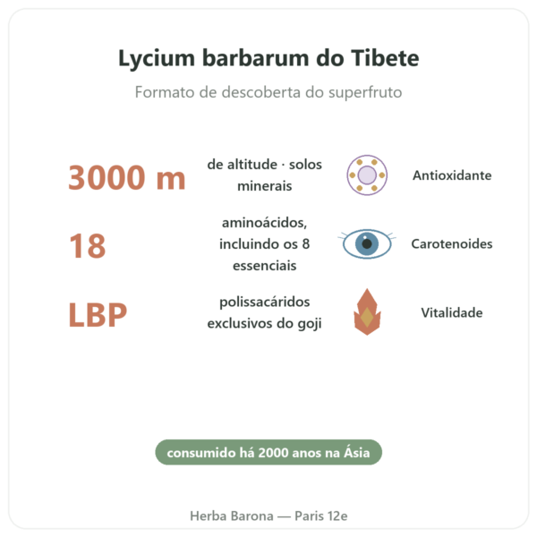 Goji do Tibete – 250 g benefícios e dados principais Paris Herba Barona