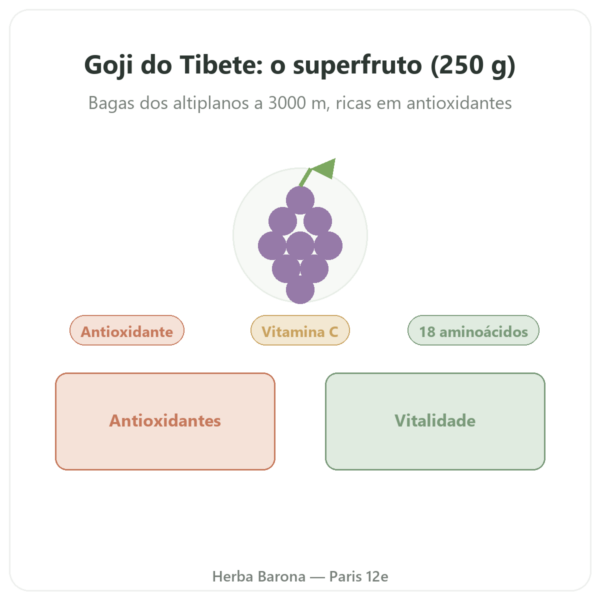 Goji do Tibete – 250 g apresentação Paris Herba Barona