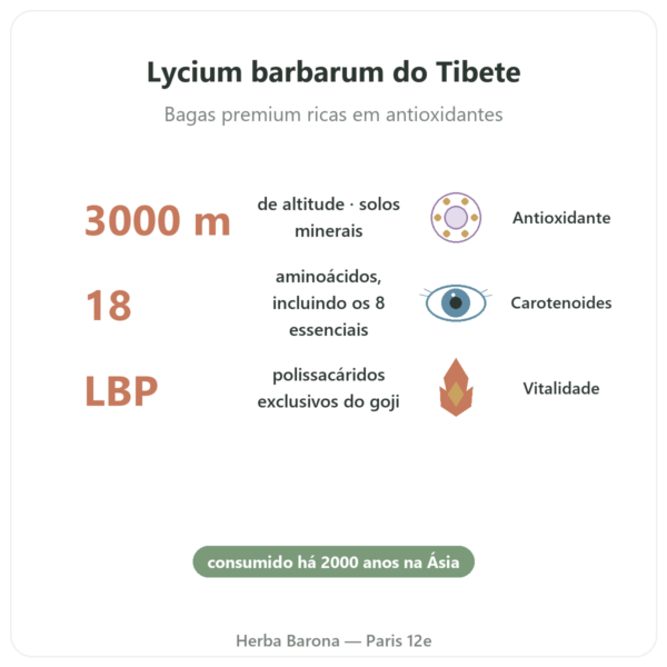 Goji do Tibete – 500 g benefícios e dados principais Paris Herba Barona