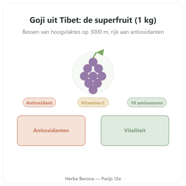 Goji uit Tibet - 1 kg (2 x 500 g) presentatie Paris Herba Barona