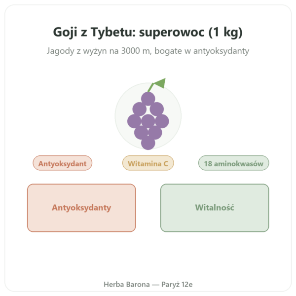 Goji z Tybetu - 1 kg (2 x 500 g) prezentacja Paris Herba Barona