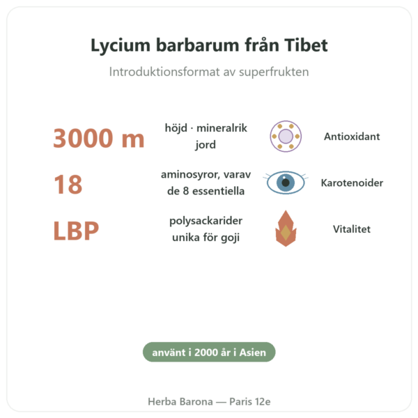 Gojibär från Tibet – 1 x 250 g fördelar och nyckelfakta Paris Herba Barona