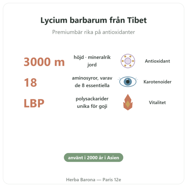 Gojibär från Tibet – 1 x 500 g fördelar och nyckelfakta Paris Herba Barona