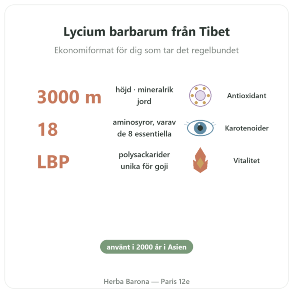 Gojibär från Tibet – 1 x 1 kg fördelar och nyckelfakta Paris Herba Barona