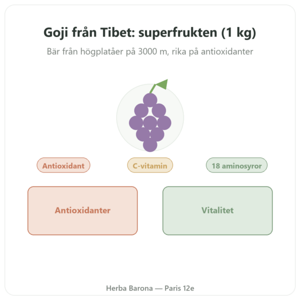 Gojibär från Tibet – 1 x 1 kg presentation Paris Herba Barona