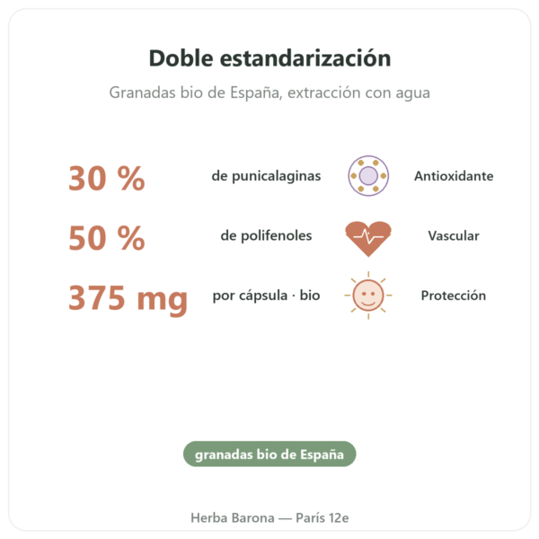 Granada BIO Dynveo – 375 mg – 60 cápsulas – 30% Punicalaginas – 50% Polifenoles beneficios y datos clave Paris Herba Barona
