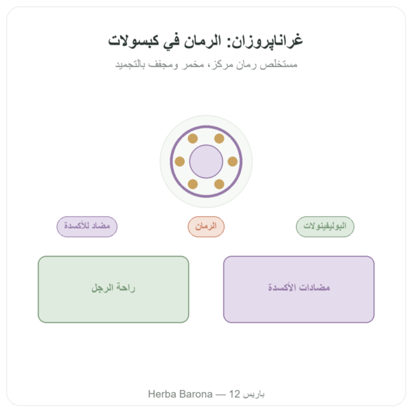 غرانابروسان – Dr Jacob's – 100 كبسولة (إكسير الرمان في كبسولات) عرض المنتج Paris Herba Barona