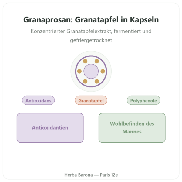 Granaprosan – Dr. Jacob's – 100 Kapseln (Granatapfel-Elixier in Kapselform) Vorstellung Paris Herba Barona