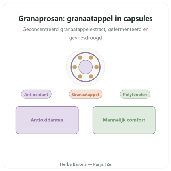 Granaprosan – Dr Jacob's – 100 capsules (granaatappelelixir in capsules) presentatie Paris Herba Barona
