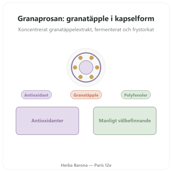 Granaprosan – Dr Jacob's – 100 kapslar (granatäppleelixir i kapselform) presentation Paris Herba Barona
