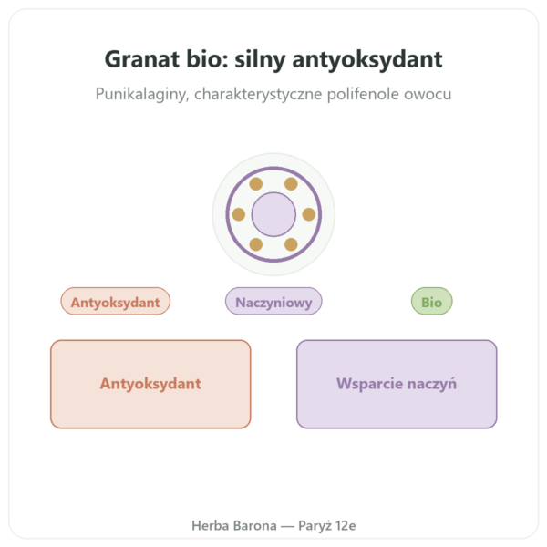 Bio granat Dynveo – 375 mg – 60 kapsułek – 30% punikalagin – 50% polifenoli prezentacja Paris Herba Barona