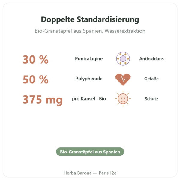 Bio-Granatapfel-Extrakt – Dynveo – 375 mg – 60 Kapseln Vorteile und Fakten Paris Herba Barona