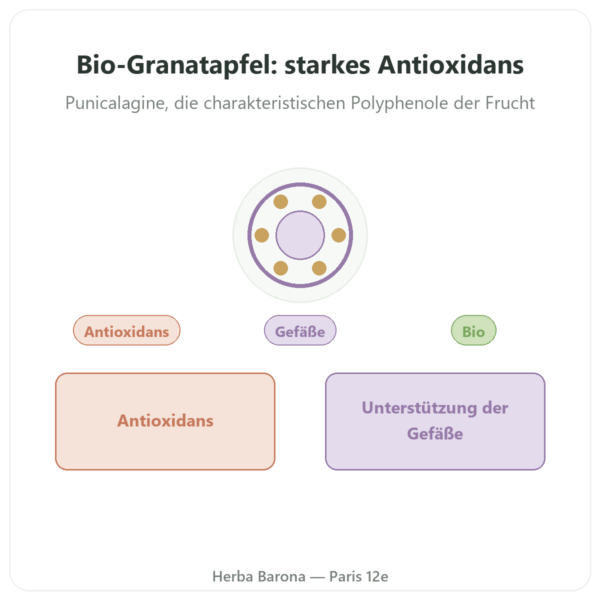Bio-Granatapfel-Extrakt – Dynveo – 375 mg – 60 Kapseln Vorstellung Paris Herba Barona