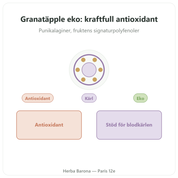 Granatäpple EKO Dynveo – 375 mg – 60 Kapslar – 30 % Punikalaginer – 50 % Polyfenoler presentation Paris Herba Barona