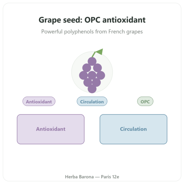 Grape Seed Extract 100mg - Dynveo - 60 capsules presentation Paris Herba Barona