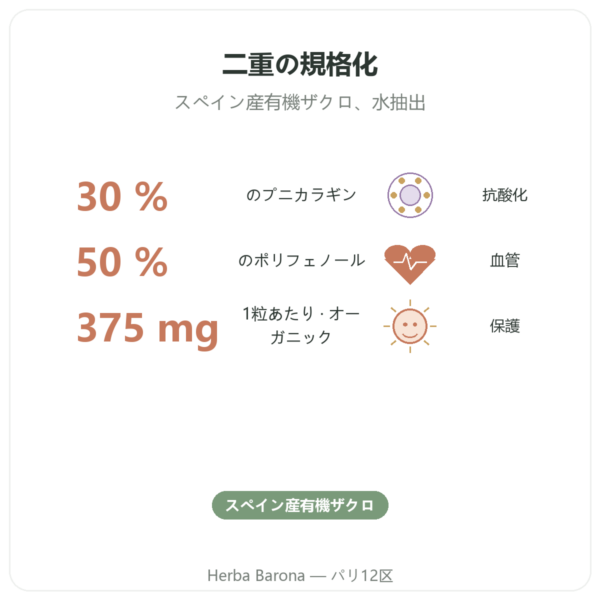 有機ザクロ Dynveo – 375 mg – 60カプセル – プニカラジン 30 % – ポリフェノール 50% benefits and key facts Paris Herba Barona