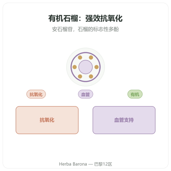 有机石榴 Dynveo – 375 mg – 60 粒 – 30 % 安石榴苷 – 50% 多酚 产品展示 Paris Herba Barona