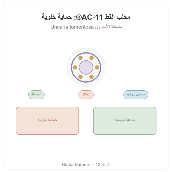 مخلب القط AC-11® – Dynveo – 350 mg – 60 كبسولة عرض المنتج Paris Herba Barona