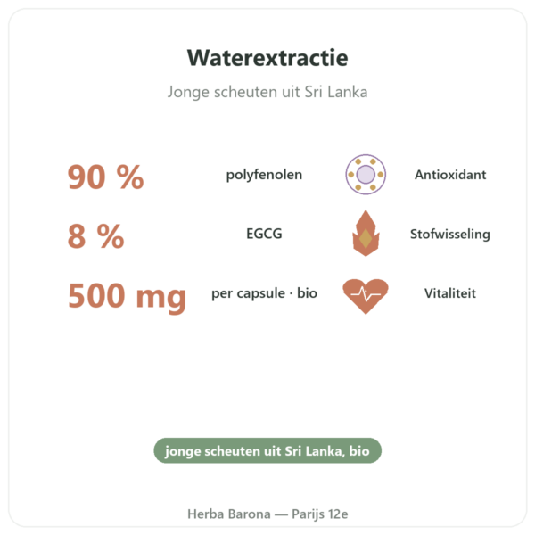 Groene thee bio 500mg 90% Dynveo 60 capsules voordelen en kerngegevens Paris Herba Barona