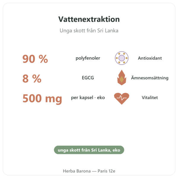 Ekologiskt Grönt Te – 60 kapslar 500 mg 90% polyfenoler – Dynveo fördelar och nyckelfakta Paris Herba Barona