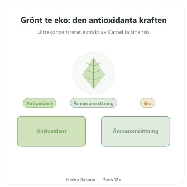 Ekologiskt Grönt Te – 60 kapslar 500 mg 90% polyfenoler – Dynveo presentation Paris Herba Barona