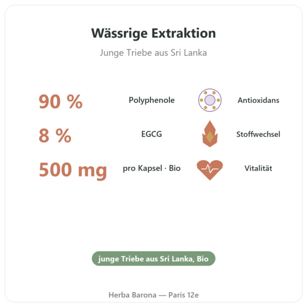 Grüntee-Extrakt Bio 90 % Polyphenole – Dynveo – 500 mg – 60 Kapseln Vorteile und Fakten Paris Herba Barona