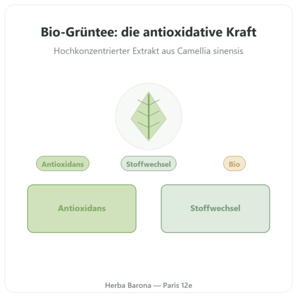 Grüntee-Extrakt Bio 90 % Polyphenole – Dynveo – 500 mg – 60 Kapseln Vorstellung Paris Herba Barona