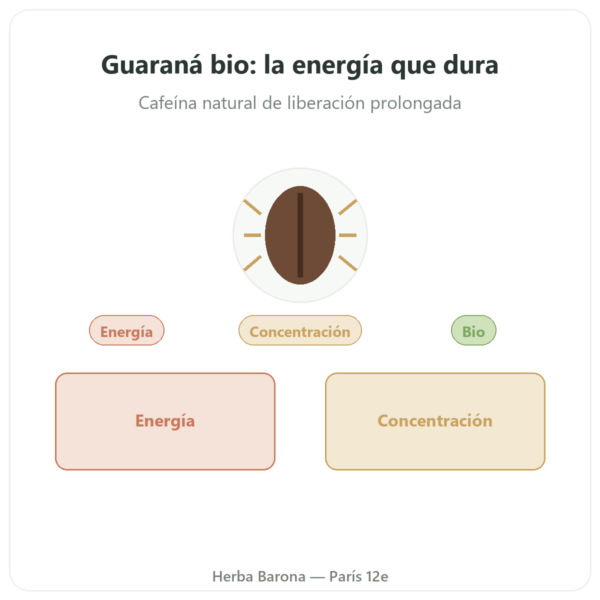Guaraná BIO Cafeína – Dynveo – 60 cápsulas presentación Paris Herba Barona