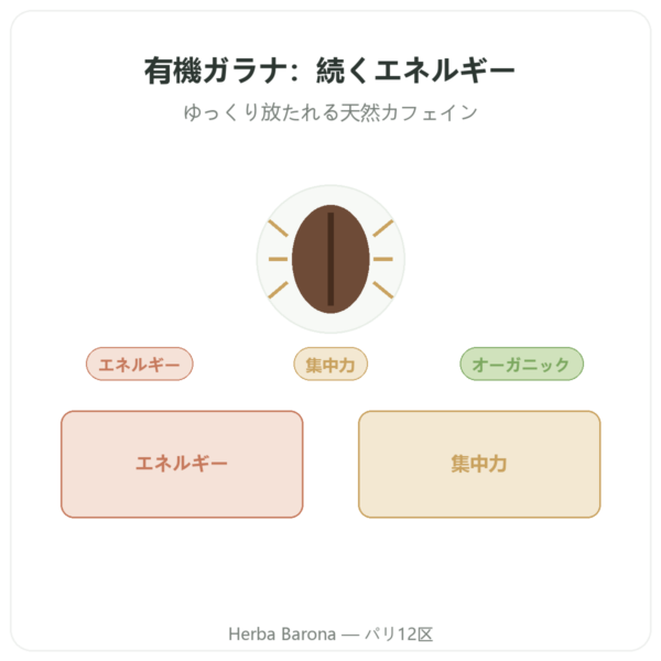 オーガニック ガラナ カフェイン – Dynveo – 60カプセル presentation Paris Herba Barona