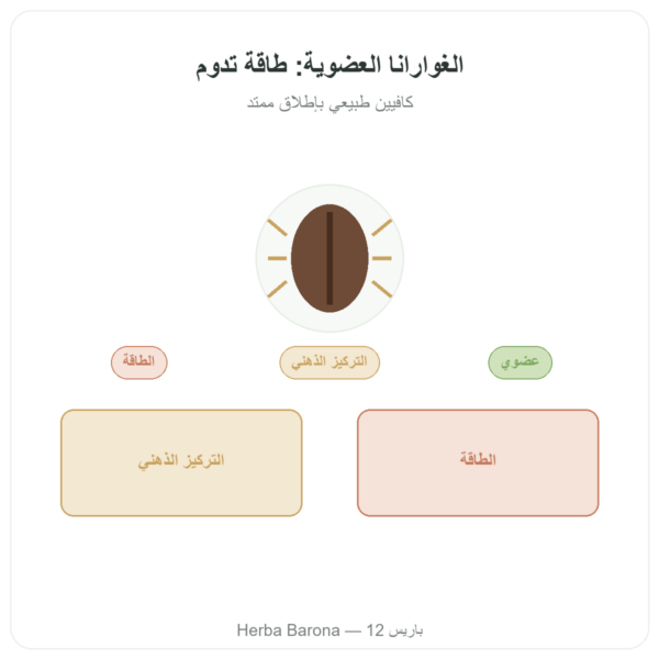 غوارانا عضوي كافيين – Dynveo – 60 كبسولة عرض المنتج Paris Herba Barona