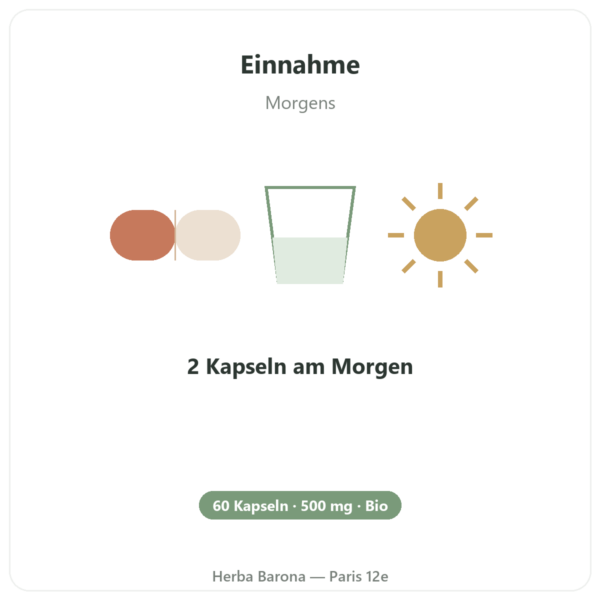 Guarana Bio Koffein – Dynveo – 60 Kapseln Anwendung und Dosierung Paris Herba Barona