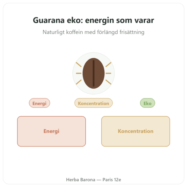 Guarana eko koffein – Dynveo – 60 kapslar presentation Paris Herba Barona