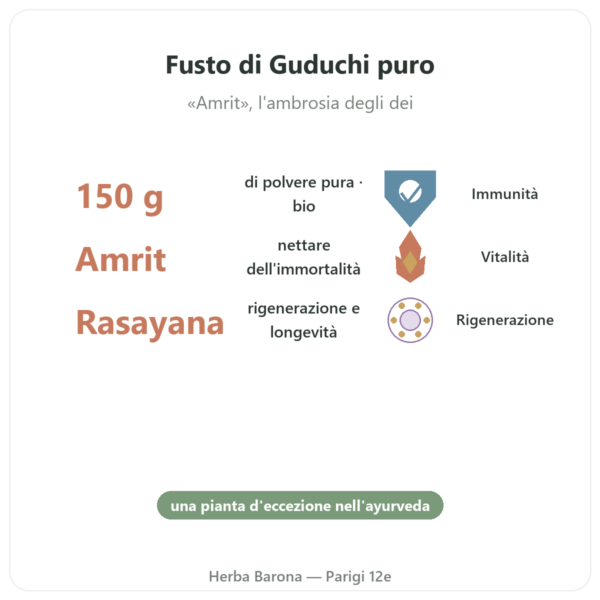 Guduchi Bio in Polvere – Ayur-vana – 150 g benefici e dati chiave Paris Herba Barona