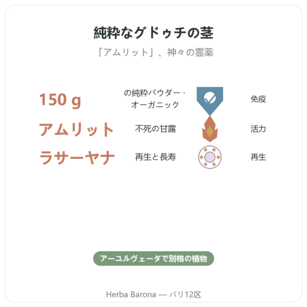 グドゥチ オーガニック – パウダー袋入り – 150 g – Ayur-vana benefits and key facts Paris Herba Barona