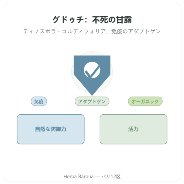 グドゥチ オーガニック – パウダー袋入り – 150 g – Ayur-vana presentation Paris Herba Barona