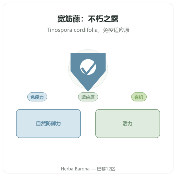 Guduchi有机 - 袋装粉末 - 150克 - Ayur-vana 产品展示 Paris Herba Barona