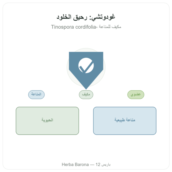غودوتشي عضوي - كيس مسحوق - 150 غ - Ayur-vana عرض المنتج Paris Herba Barona