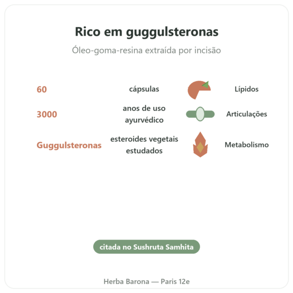Guggul – Ayur-vana – 60 cápsulas benefícios e dados principais Paris Herba Barona