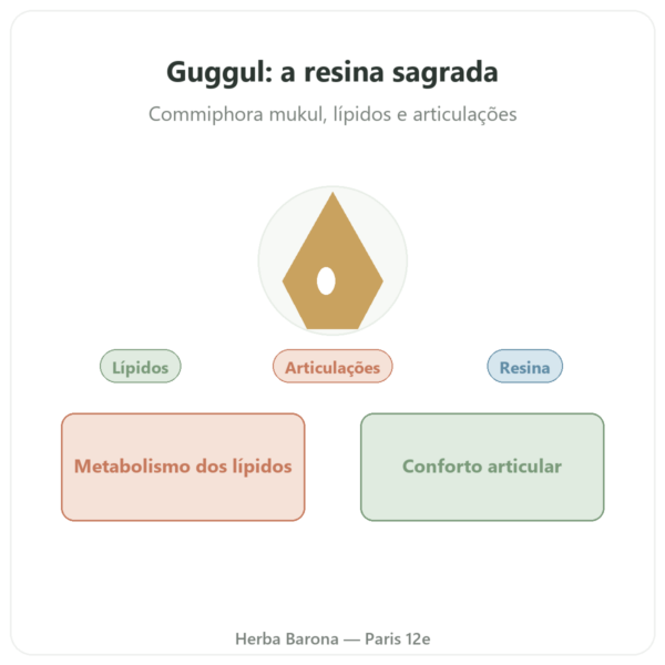 Guggul – Ayur-vana – 60 cápsulas apresentação Paris Herba Barona