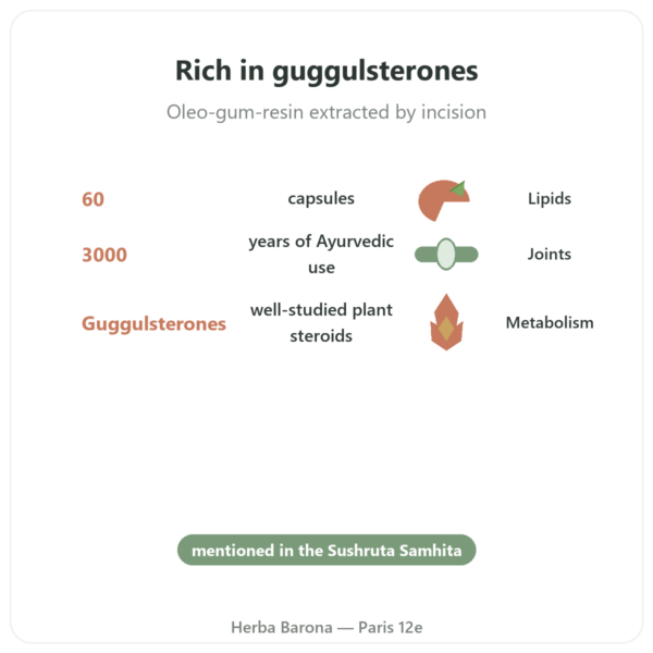 Guggul – Ayur-vana – 60 capsules benefits and key facts Paris Herba Barona