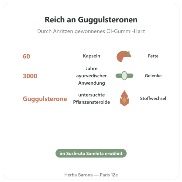 Guggul – Ayur-vana – 60 Kapseln Vorteile und Fakten Paris Herba Barona