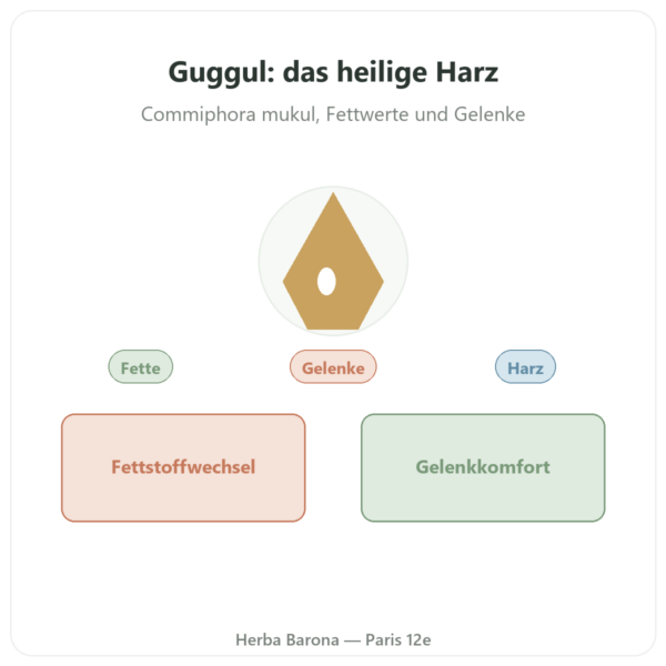 Guggul – Ayur-vana – 60 Kapseln Vorstellung Paris Herba Barona
