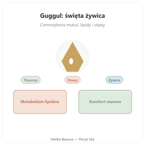 Guggul - Ayur-vana - 60 kapsulek prezentacja Paris Herba Barona